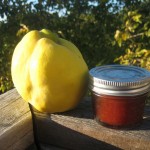 Quince and membrillo. A single quince easily weighs a pound or more. 