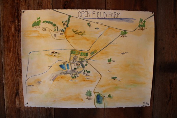 A map of Open Field Farm, by one of the staff