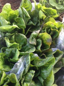 Unless you grow it yourself, the best lettuce is from a farmers market.