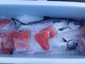 Farmers markets are a great source for local salmon