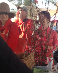 The crowd, seen through a bouquet of flowering quince, wore orange in honor of farmer Nancy Skall
