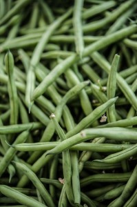 Blue Lake Green Beans at the Sebastopol Farmers Market 