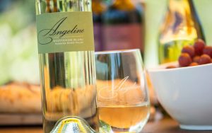 Angeline Vineyards 2015 Sauvignon Blanc is both inexpensive and utterly delightful